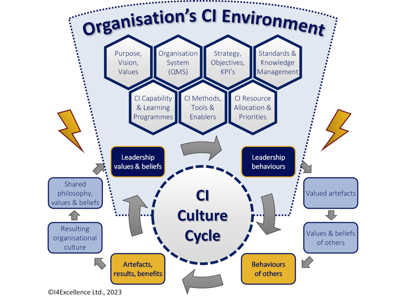 A diagrammatic meta-model of an organisation's CI Environment adapted from reference.