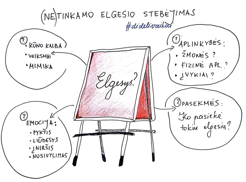 elgesio stebėjimo schema