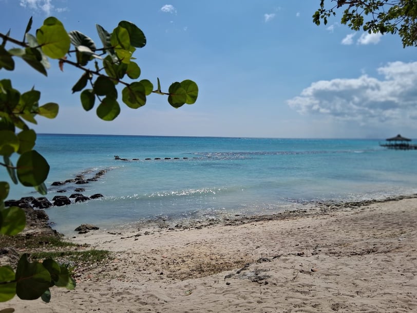 Calm beach with clear water and no sargassum in the Dominican Republic