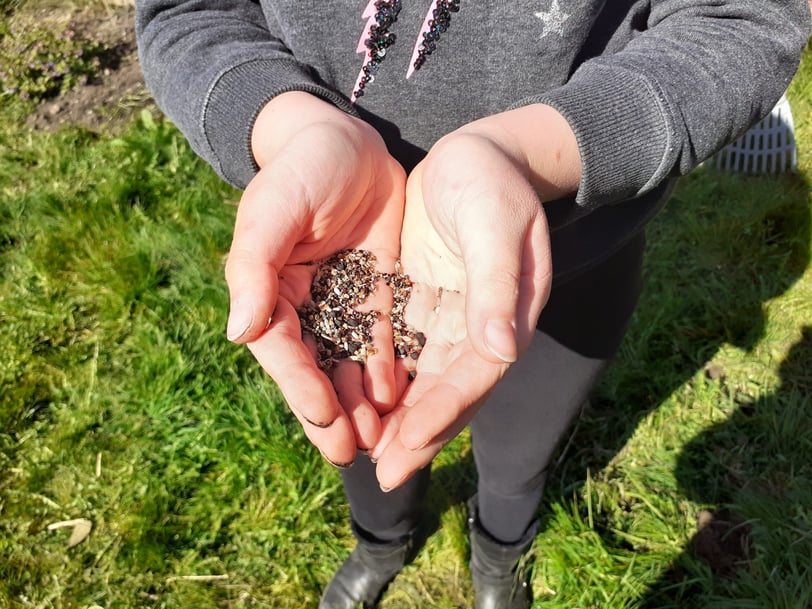 Meadow seeds