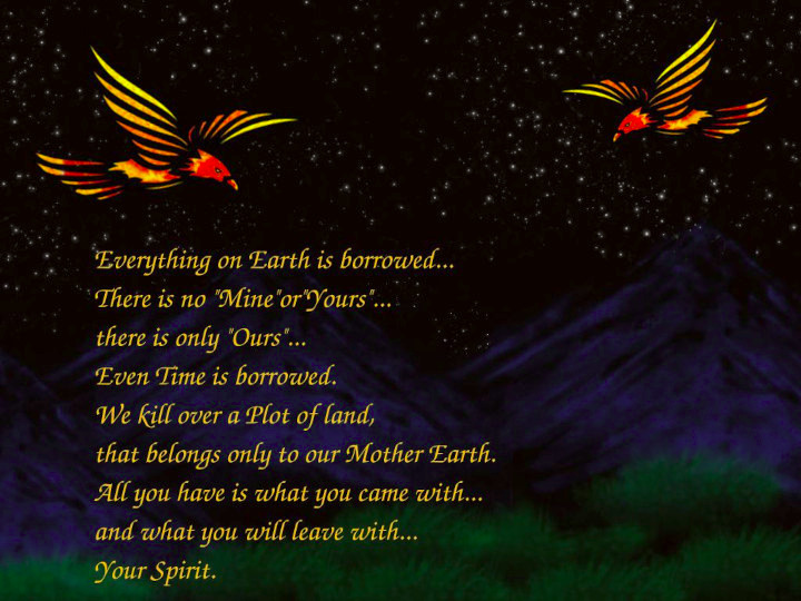 Star studded night sky, mountains background. Firebirds delivering message.