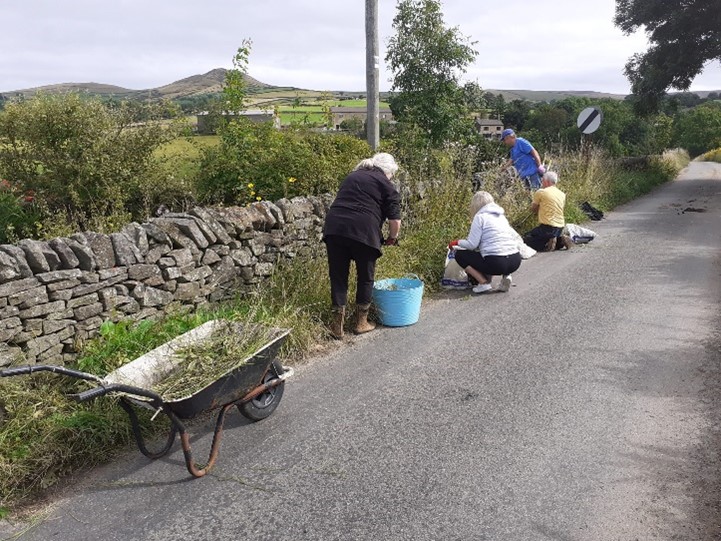 Making meadows