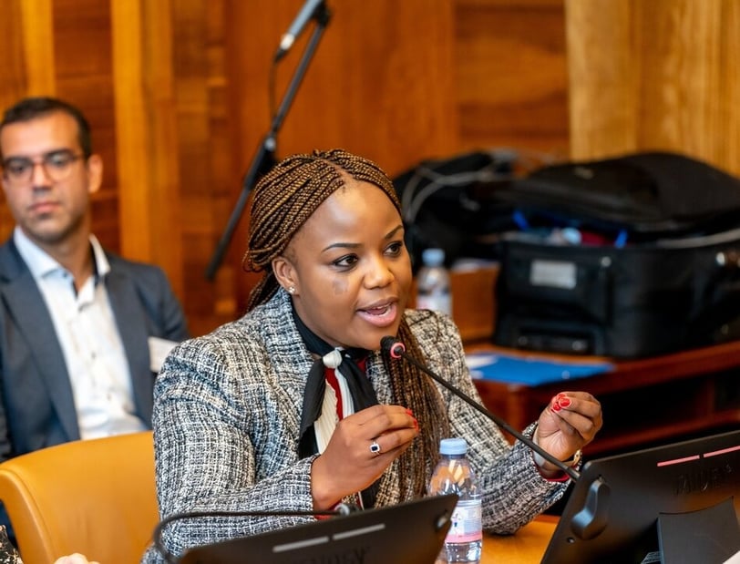 The lawyer and human rights defender Fadzayi Mahere
