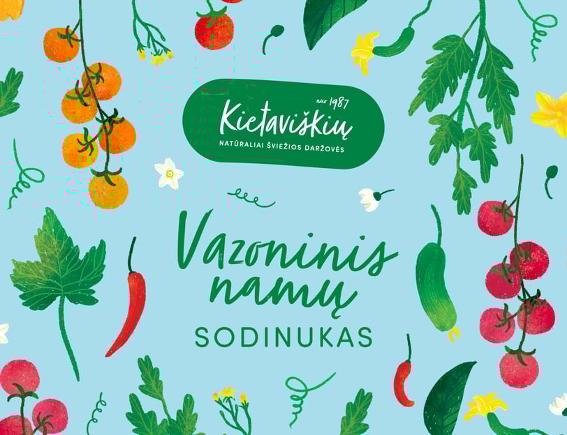 Kietaviškių vazoninių augalų iliustracijos – stilizuoti pomidorai, paprikos, agurkai ir čili viename kadre.