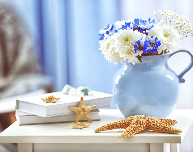 seashell decor