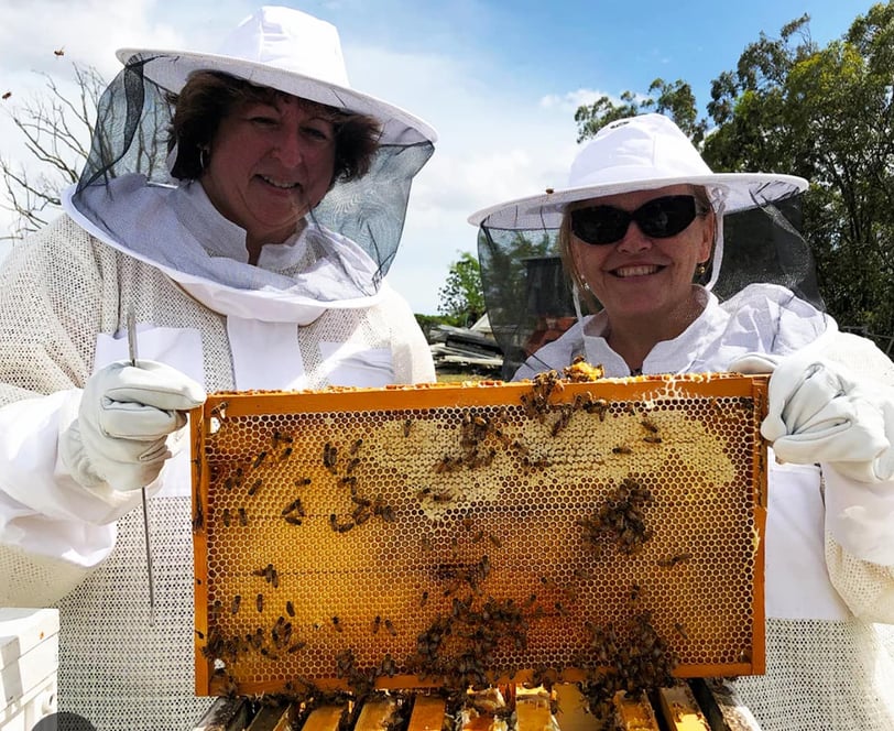Large commercial bee yard with rows of hives and beekeepers in matching protective suits from Heliotrope Bee.