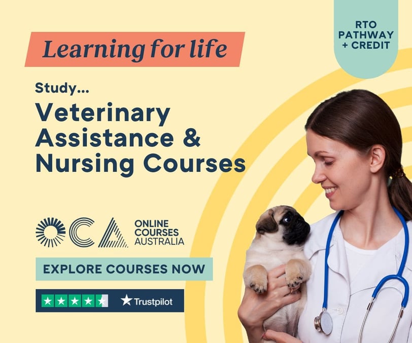 ABOUT ONLINE COURSES AUSTRALIA  At Online Courses Australia, learning is about more than imparting k