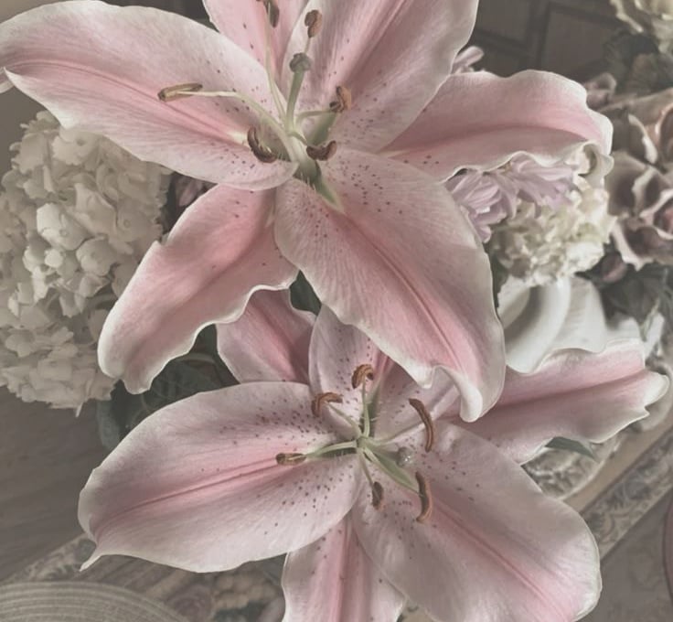 High-maintenance habits that create an effortless beauty look. Discover feminine rituals for glow, e
