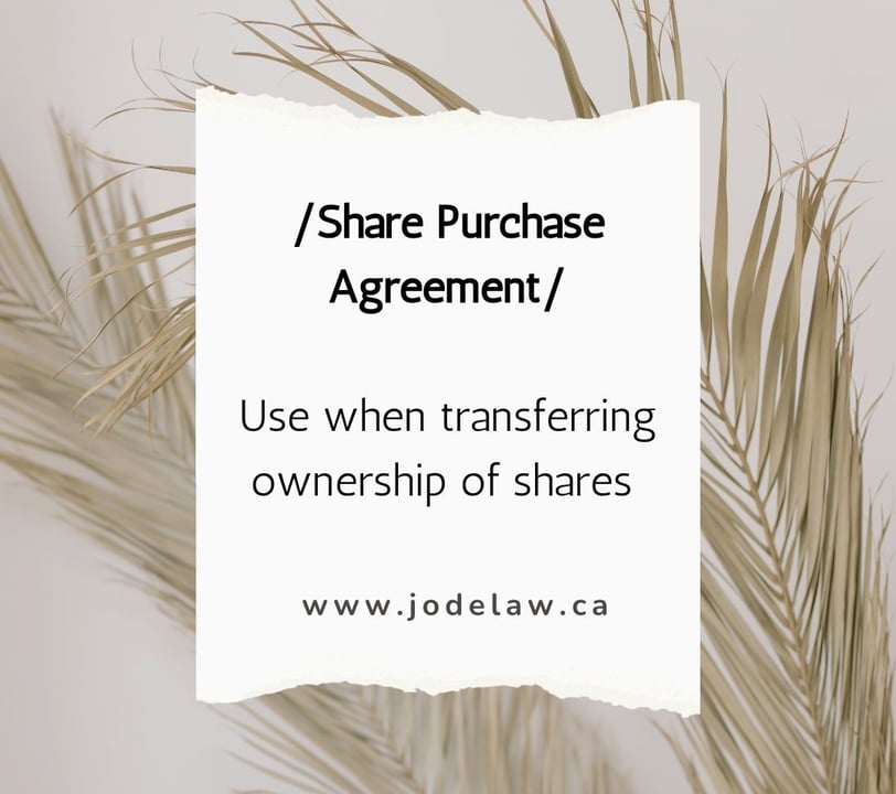 Share Purchase Agreeement, I want to sell my business in Ontario, Business lawyers