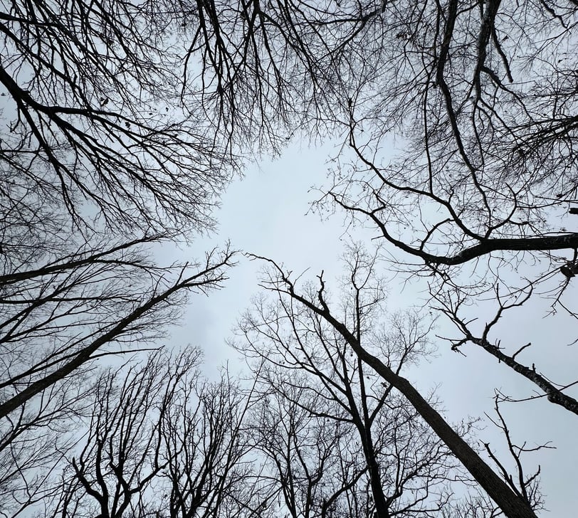 Nature Divine Peace