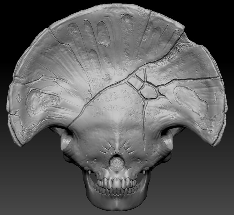 My point of view about how be the Death Skull based on Del Toro Movie