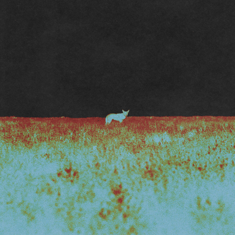 "Nowhere" album cover.