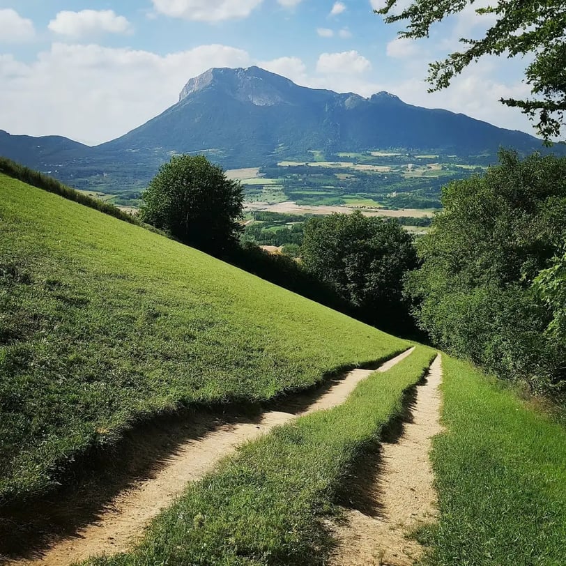 sentier, herbe, arbres, vue, montagne, ciel