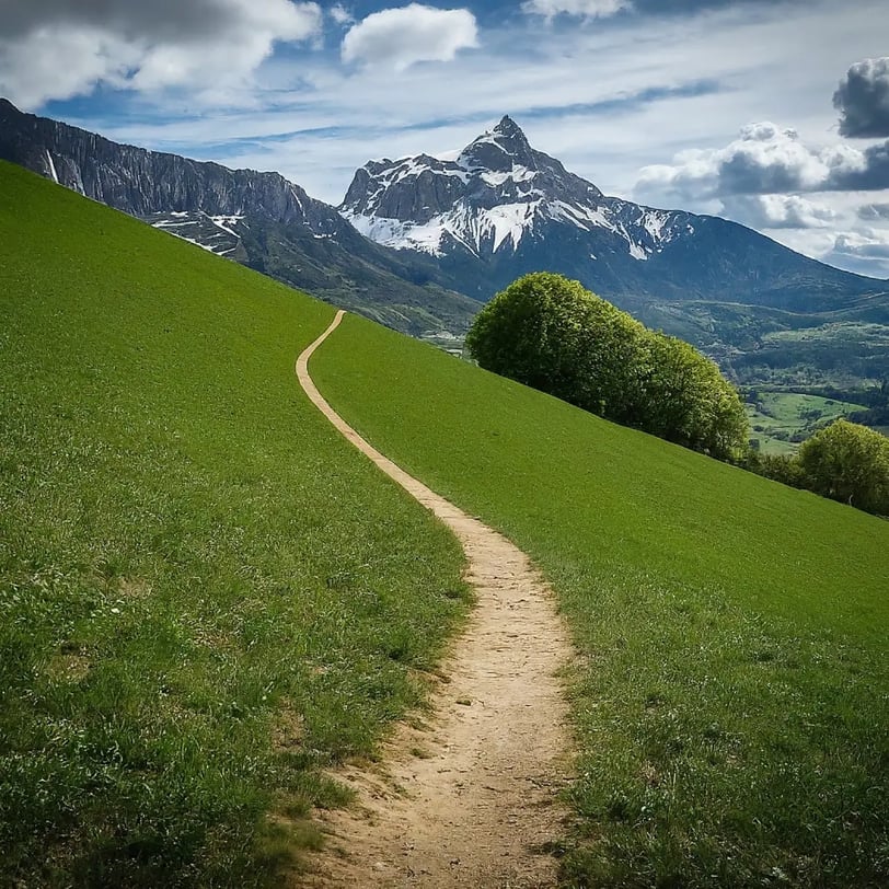 chemin, herbe, arbres, montagne