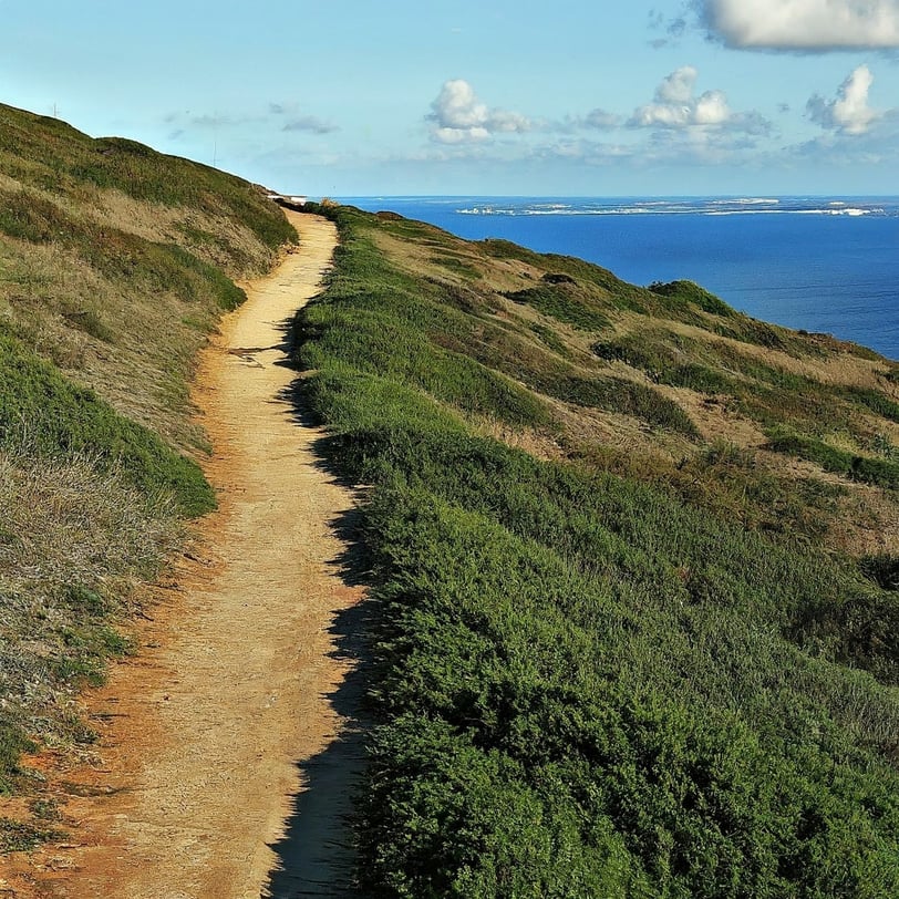 sentier, landes, mer, ciel, nuages