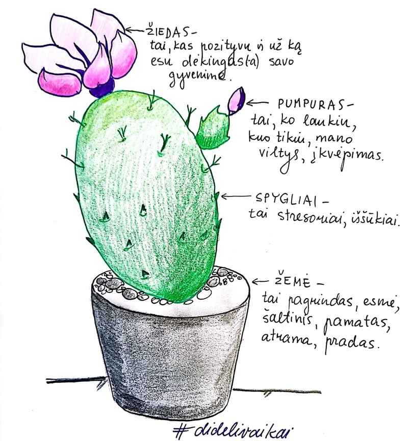 schema kaktusas savianalizė