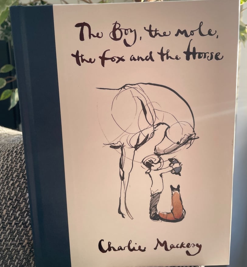 a book with a drawing of a boy, a mole, a horseand and a  cat