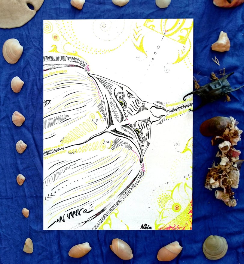 dessin de raie manta aux motifs psychédéliques au feutre fin . Cadre d'objets naturels de la mer