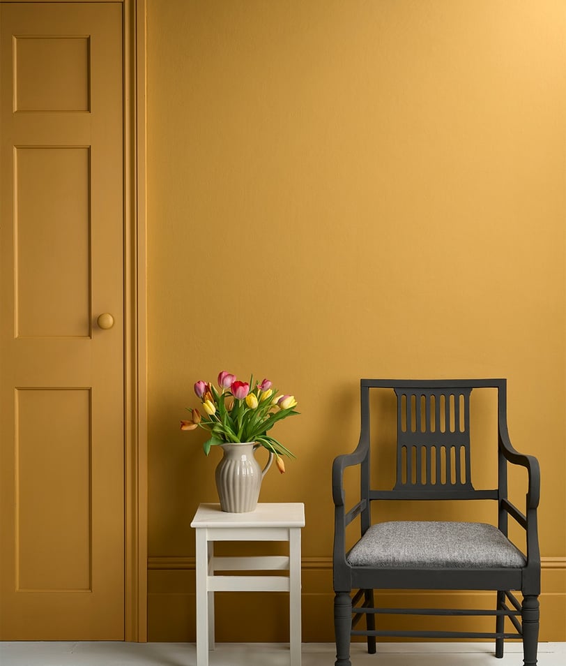 mustard yellow door and wall paint