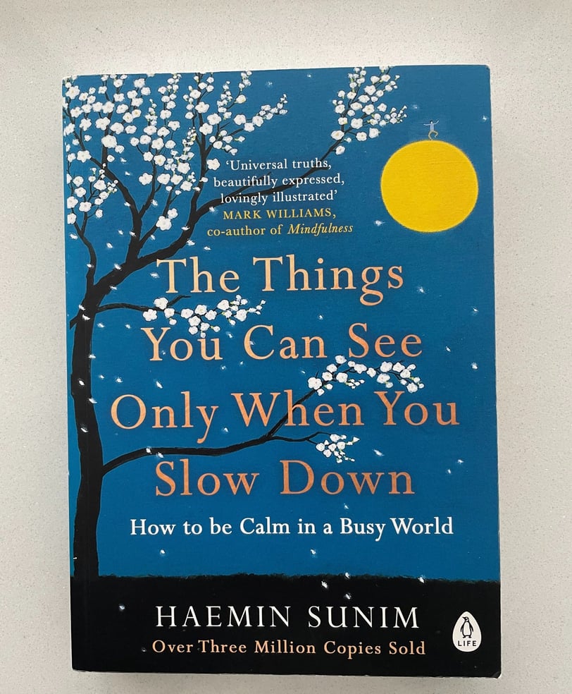 a book cover of the book the things you can see only when you slow down