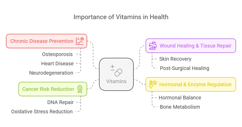 Importance of vitamins in health