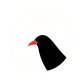 Kernow Eats logo