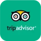 tripadvisor