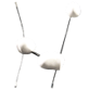 Hyperflexox, 2021