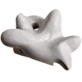 Hyptosaurus, 2020