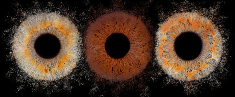 trio d iris