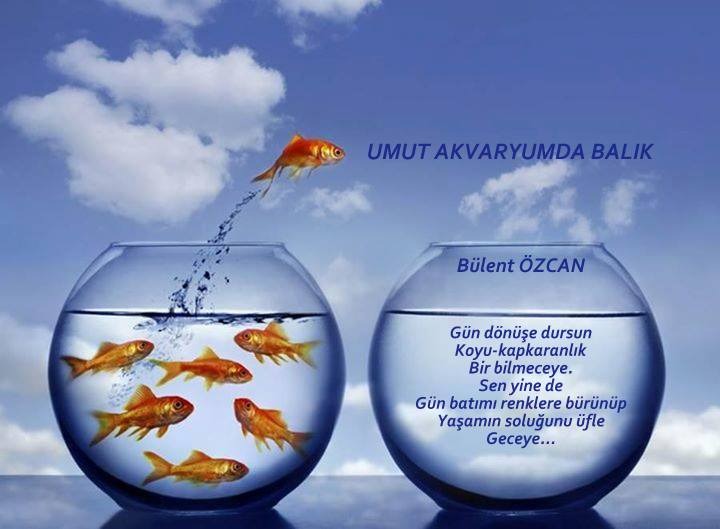 Umut Akvaryumda Balık, Şiir, Bülent Özcan