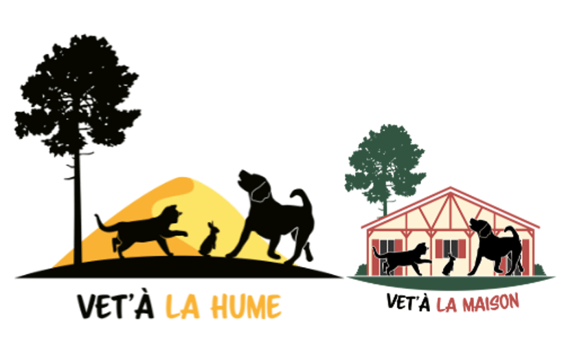 Vétérinaire Vet' à La Hume, Gujan Mestras, Bassin d'Arcachon logo