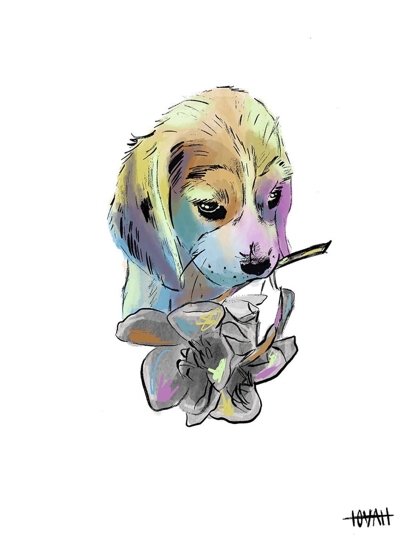 pastel multi-colored puppy holding a flower