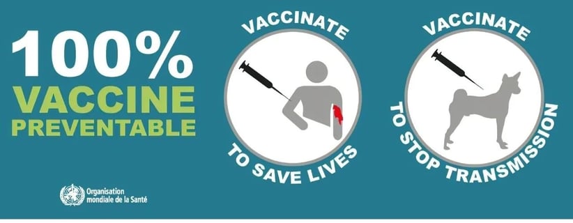 vaccine stop transmission
