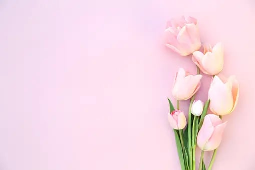 Understanding menopause