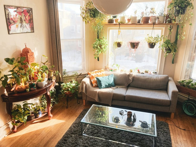 Cozy living room with accessories and plants, featured by Regal Touch Home.