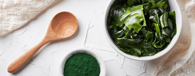 Un bol d'algue spiruline