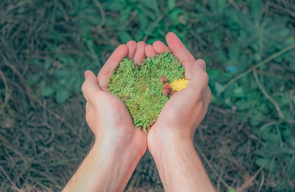 Environmental sustainability