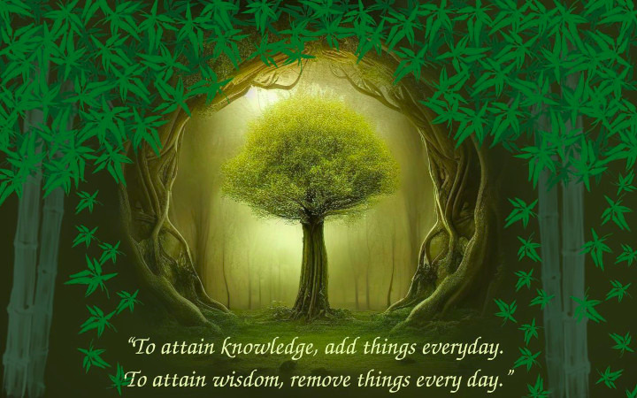 a tree with a quote from Taoism