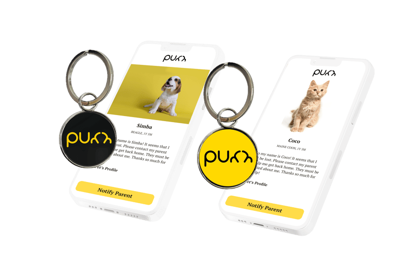 Purr Tags with Dog & Cat Lost Mode