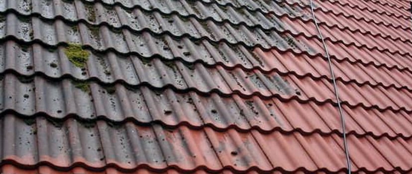 roof soft washing no pressure