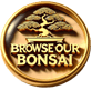link to browse our bonsai