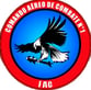 Logo de la fuerza aerea de combate de colombia
