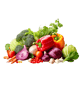 hortifruti