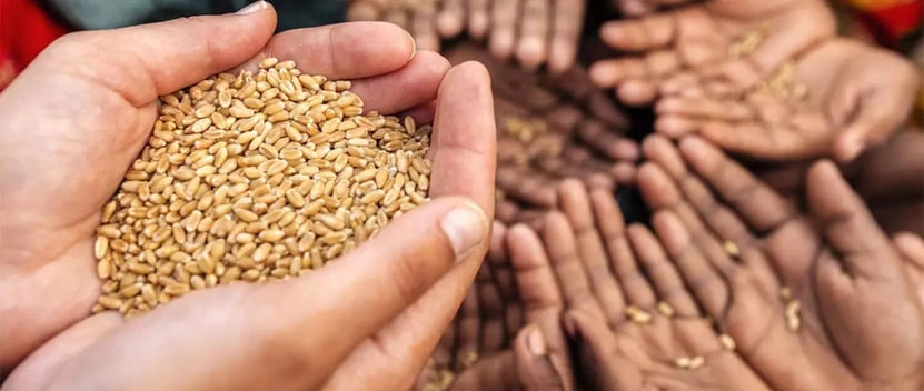 Food Security