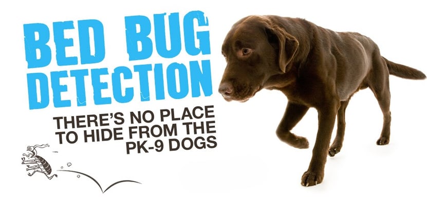 Bed Bugs ! There's no place to hide from PK-9 Dogs