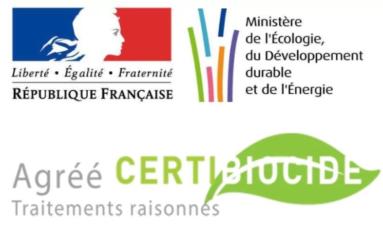 punaises de lit punaises de lit punaises de lit punaises de lit punaises de lit punaises de lit
