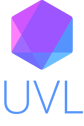 University Vision Leadership logo