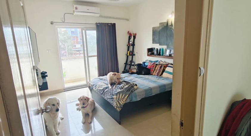 Bedrooms with balcony and bathroom | | Dog Homestay Boaording