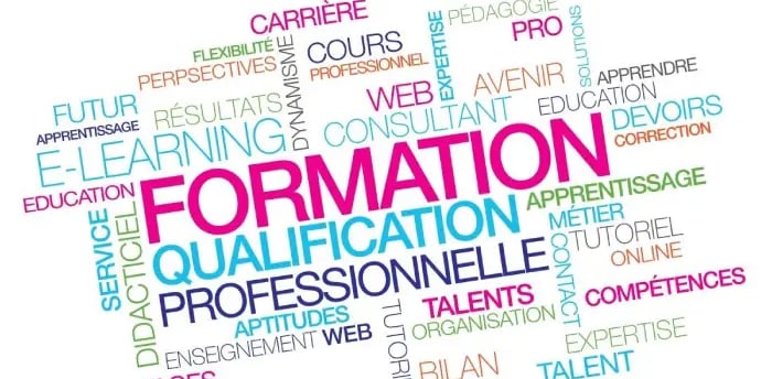 Professionnel guidant un organisme de formation dans la préparation d'un audit